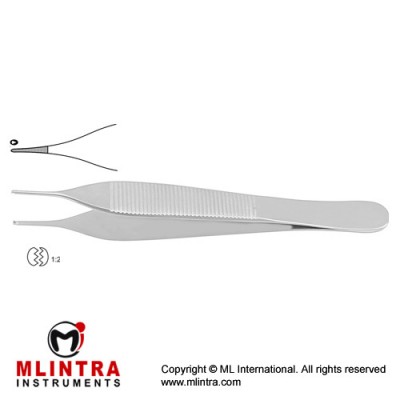Mini-Adson Dissecting Forcep 1 x 2 Teeth Stainless Steel, 12 cm - 4 3/4"